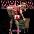 Wanda – Elizabeth Olsen NSFW Figure STL Model Downloadable